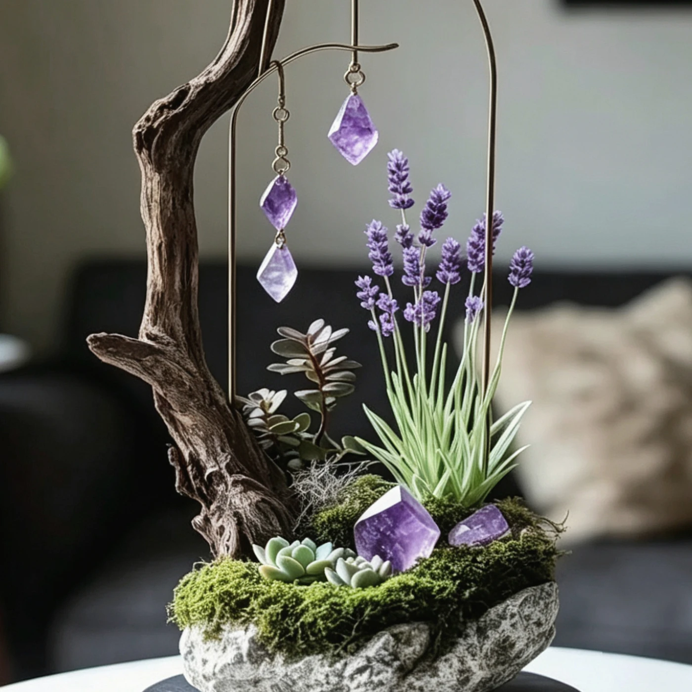 Crystal Window Plant dimension and detail